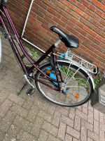 Damen Fahrrad Niedersachsen - Nordhorn Vorschau