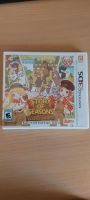 Story of Seasons Nintendo DS Englisch Baden-Württemberg - Ellenberg Vorschau