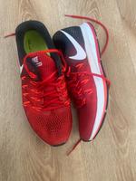 Nike Schuhe Herren Größe 44 Hessen - Beselich Vorschau