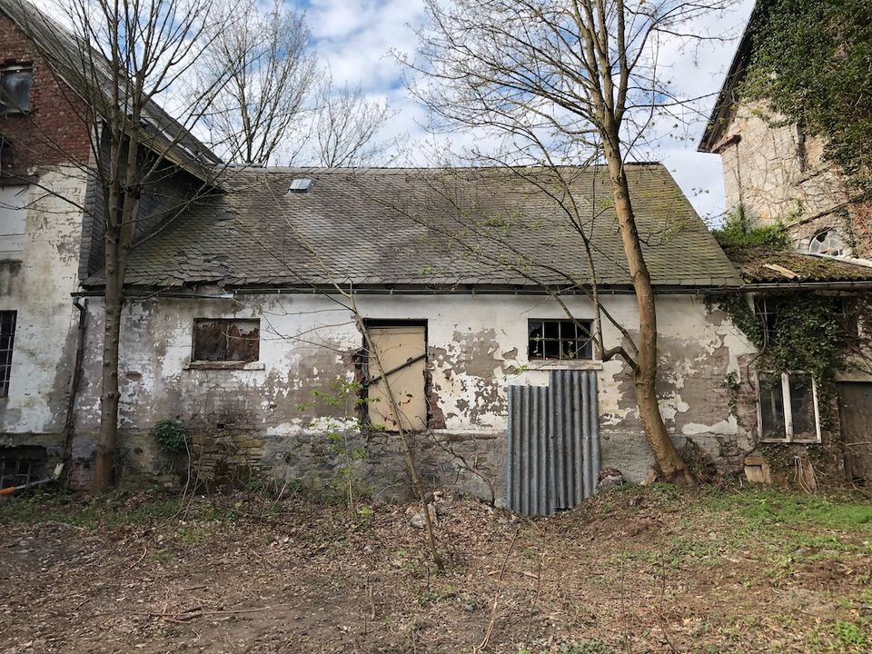 Besonderes Haus mit Grundstück in Olsberg-Antfeld im Sauerland in Olsberg