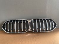 BMW F40 Kühlergrill vorne Silber 5A39372 NEU Nordrhein-Westfalen - Möhnesee Vorschau