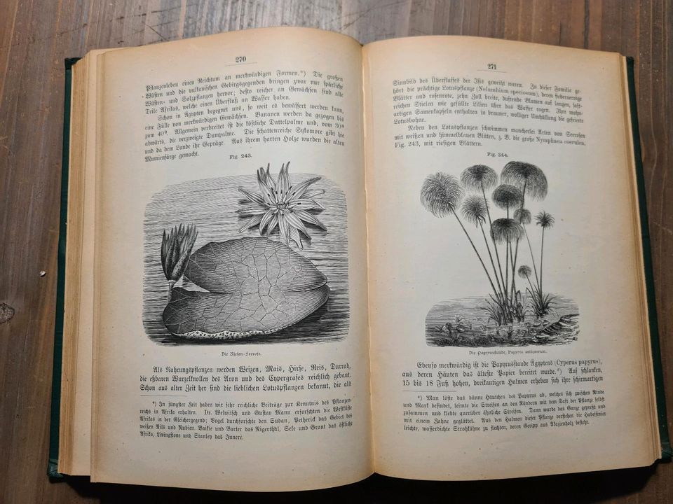 KOSMOS, BIBEL DER NATUR  Böhner  / Band 1 & 2 / 1882 in Camburg