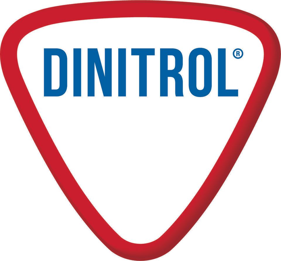 DINITROL Rost Schutz Service, Hohlraum & Unterboden, Ford Ranger in Dinklage