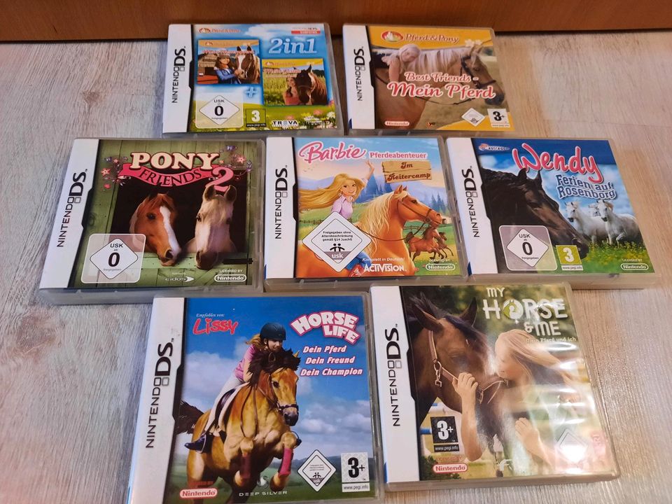 Nintendo DS Spiele in Ascha