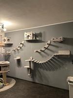 Kratzwand elemente Katze kratzbaum zubehör kletterwand Berlin - Neukölln Vorschau