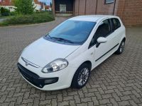 Fiat Punto 1.2 "" Tüv Neu 06.2026 "" Guter Zustand Nordrhein-Westfalen - Lübbecke  Vorschau