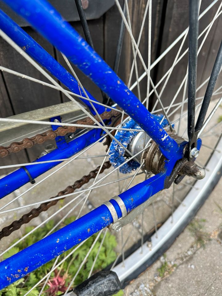 Ragazzi Fahrrad Damenrad 26 Zoll blau in Neuzelle