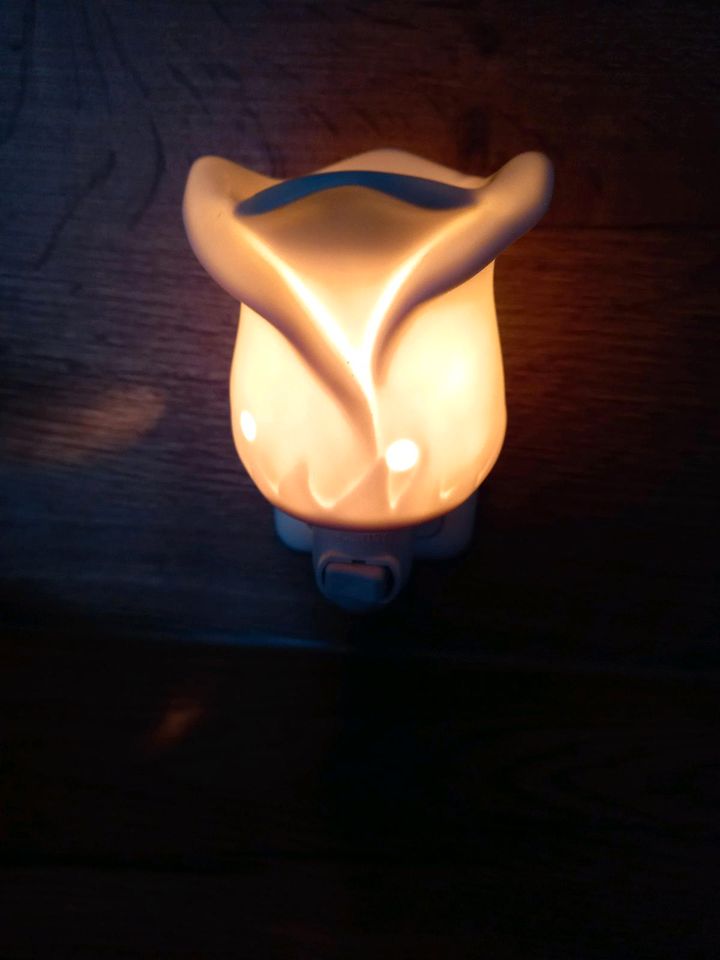 Scentsy Lampe in Regen