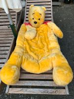 Schlafsack für Kinder Disney Winnie The Pooh Decke Nordrhein-Westfalen - Büren Vorschau