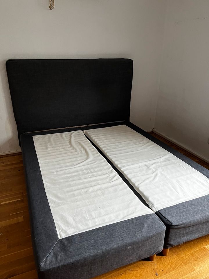 IKEA Dunvik BoxSpring Bett 160x200 ohne Matratzen in Essen