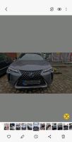 Lexus UX 250h Style edition Köln - Köln Dellbrück Vorschau