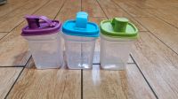 Tupperware Mess & Go 250ml 3 Stück Niedersachsen - Ostrhauderfehn Vorschau