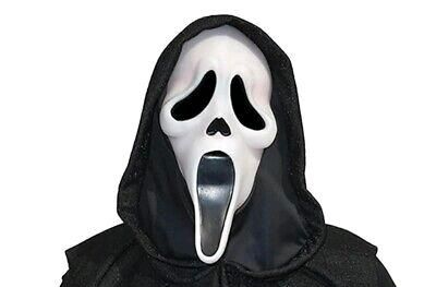 Original SCREAM Ghostface Maske Fun World 25th Jubiläum NEU OVP in Willingen (Upland)
