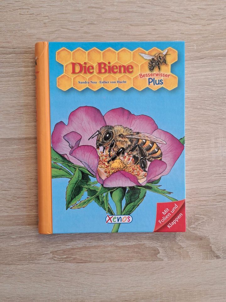 Die Biene Besserwisser plus Xenos mit Folien und Klappen in Dresden