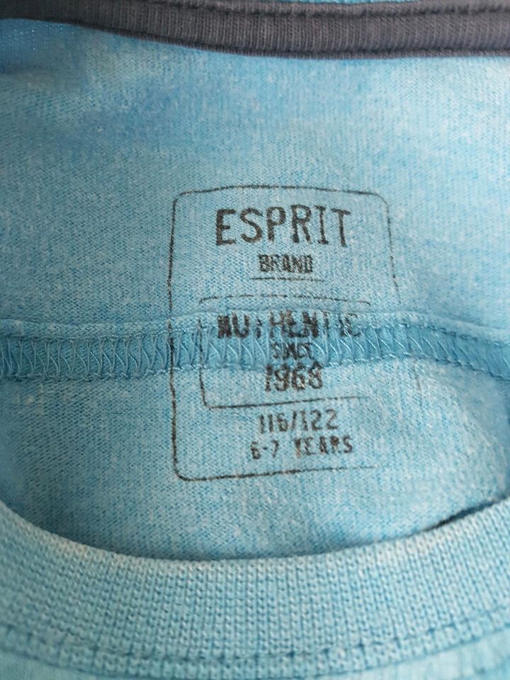 ESPRIT GR. 122 ⭐ H&M 3 x LANGARMSHIRTS, PULLOVER, JUNGEN, BLAU in Wachtberg