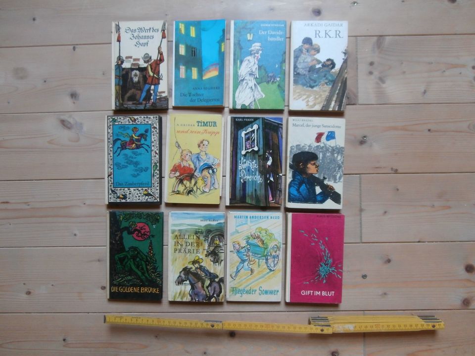 12 Stk DDR-Jugendbücher, Taschenformat, Kinderbuchverlag Berlin in Spantekow