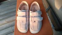Ganter Damenschuhe Gr. 37, neu, beige Niedersachsen - Bad Münder am Deister Vorschau