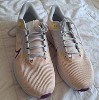 NIKE Pegasus Größe Größe 43 Hessen - Lautertal Vorschau