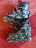 Inlineskates Gr. 38 Inliner Dresden - Seevorstadt-Ost/Großer Garten Vorschau