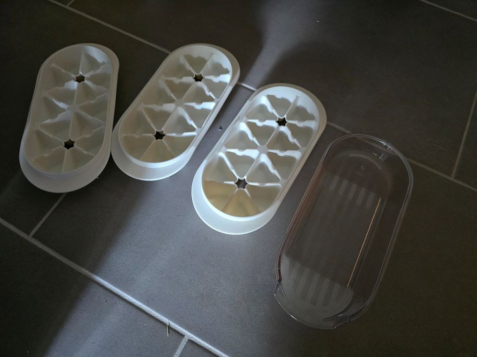 Tupperware Tupper Eiswürfel Form 3 Stück inkl Schale Preludo in Ostrach