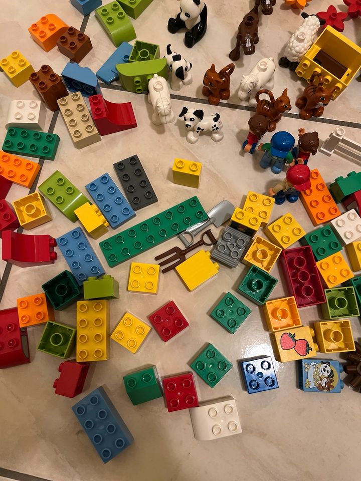 Lego Duplo Sammlung in Odenthal