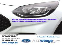 Ford Puma Titanium Start/Stopp 1,0 EcoBoost Nordrhein-Westfalen - Bad Salzuflen Vorschau