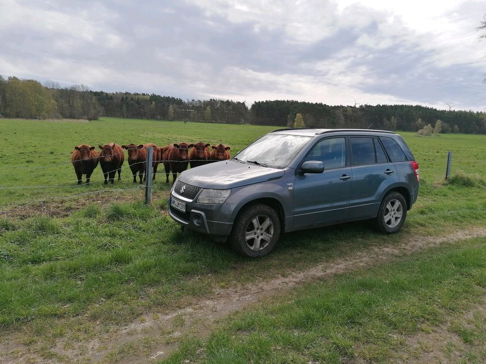 Susuki Grant Vitara 1,9 TDI in Schönberg (Mecklenburg)