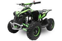 Kinderquad Miniquad Kinder ATV Avenger Reneblade 49ccm Benzi Quad Bayern - Hauzenberg Vorschau