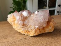 Kakteen Amethyst, kaktus Amethyst, Stufe, Mineralien Nordrhein-Westfalen - Solingen Vorschau