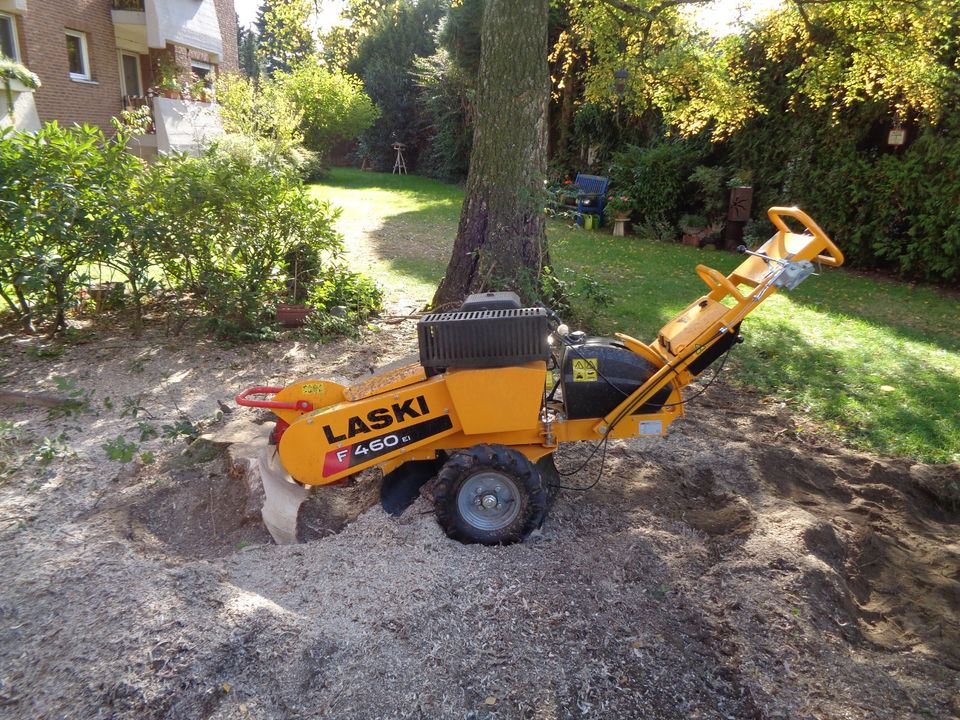 Baumstumpffräsen, Stubbenfräsen, Baumstumpf entfernen, Wurzel in Bergisch Gladbach