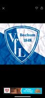 VFL Bochum Dauerkarte Essen - Stoppenberg Vorschau