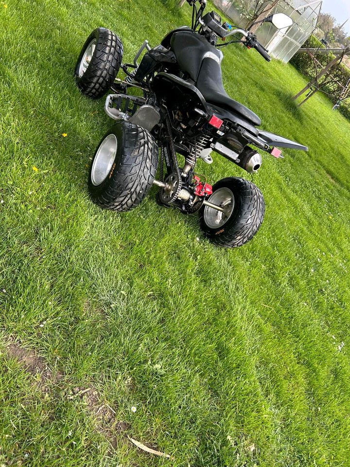 Quad SHINERAY in Niederstotzingen