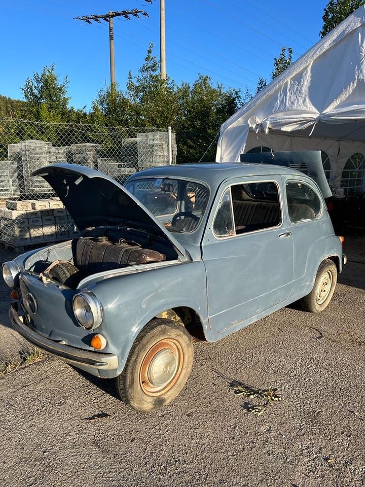 Zastavan 750 ( Fica) wie Fiat 600 in Immendingen