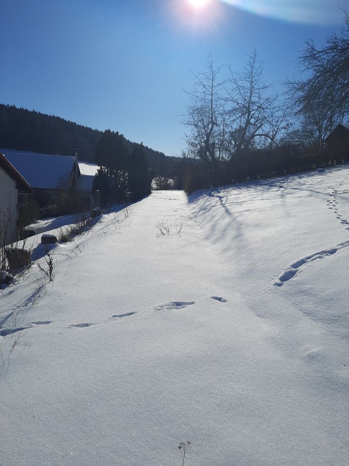 Ferienhaus im südlichen Thüringer Wald in Wichtshausen