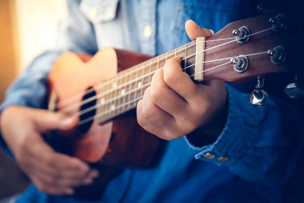 professioneller Ukulele-Unterricht in Jena/Ukulele-Lehrer Jena in Jena