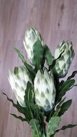 4x Zuckerbusch Protea Blüte Kunstblume Deko-Blume Nordrhein-Westfalen - Geilenkirchen Vorschau