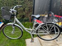 City Star alu Damenfahrrad 28 Zoll Harburg - Hamburg Fischbek Vorschau