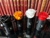Emmie Gray Rosen Blumen Rose deko Liebe Dekoration Zubehör flower Rheinland-Pfalz - Neuwied Vorschau