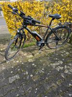 Bergamont Ebike Nordrhein-Westfalen - Herne Vorschau