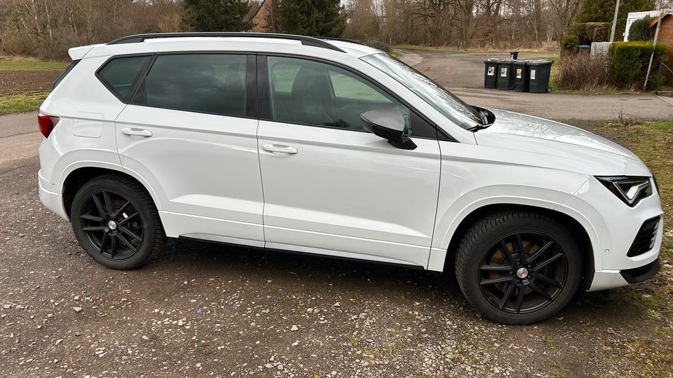 Cupra Ateca in Homburg