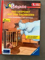 DAS GESPENST AUF DEM DACHBODEN - NEUWERTIG! Kr. Dachau - Dachau Vorschau