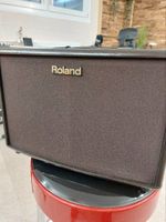 Roland AC-60 Stereo Chorus Acoustic Amp Niedersachsen - Lauenbrück Vorschau