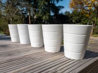 5 Keramikübertöpfe weiß guter Zustand Hessen - Idstein Vorschau