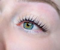 Wimpernlifting ✨ Niedersachsen - Wiesmoor Vorschau