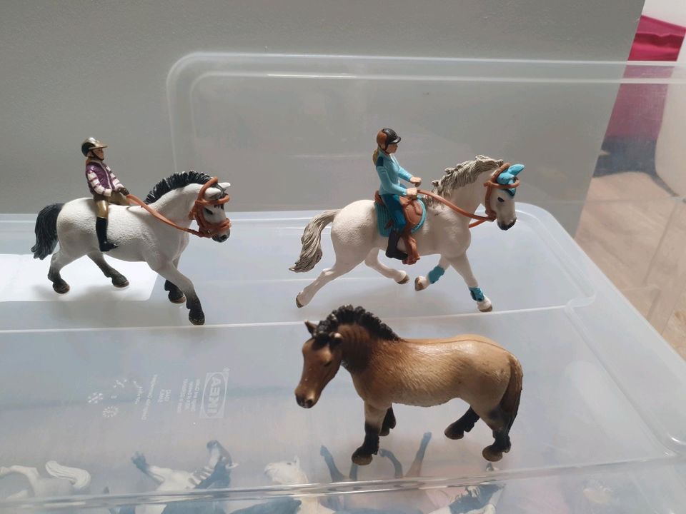 Schleich Pferde diverse in Bergheim