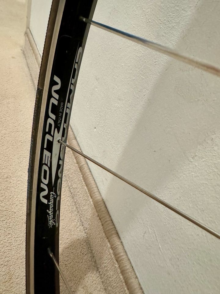 Campagnolo Nucleon Tubular LRS in München