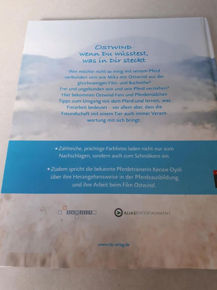 Pferde verstehen mit Ostwind Buch in Osterweddingen