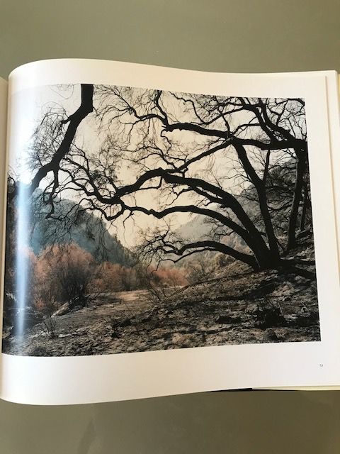 Hans-Christian Schink - LA - Seltenes Fotobuch in Berlin