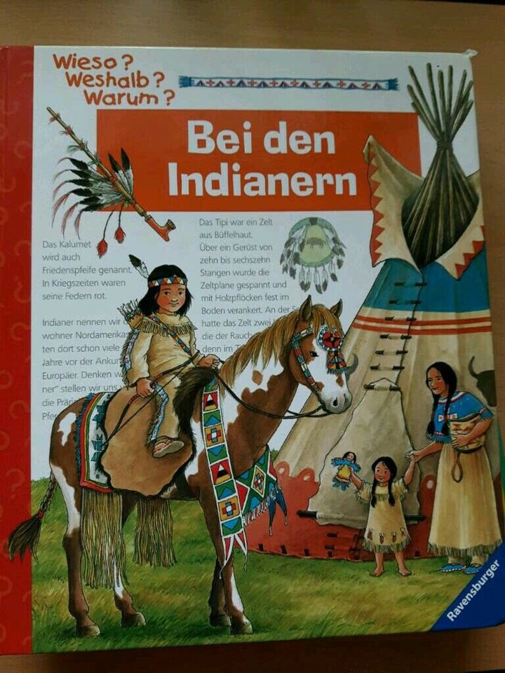 Buch "Indianer" in Behrendorf