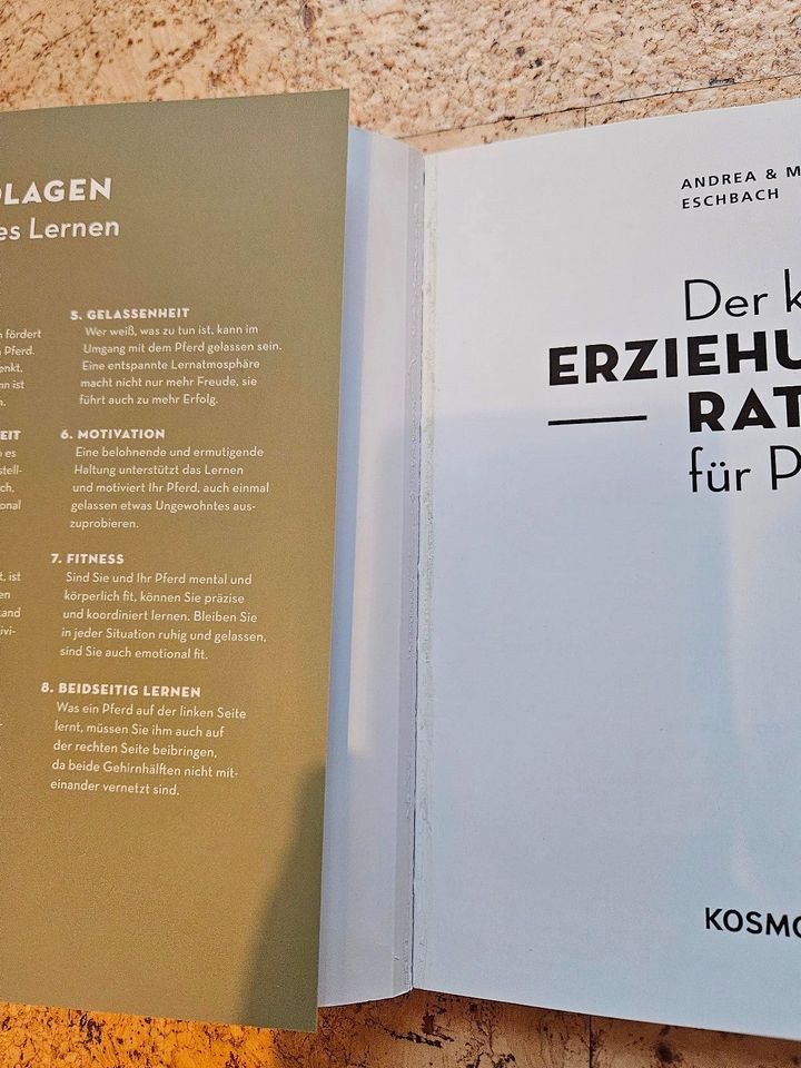 Der kleine Erziehungsratgeber für Pferde ISBN: 978-3-440-16756-4 in Kadenbach